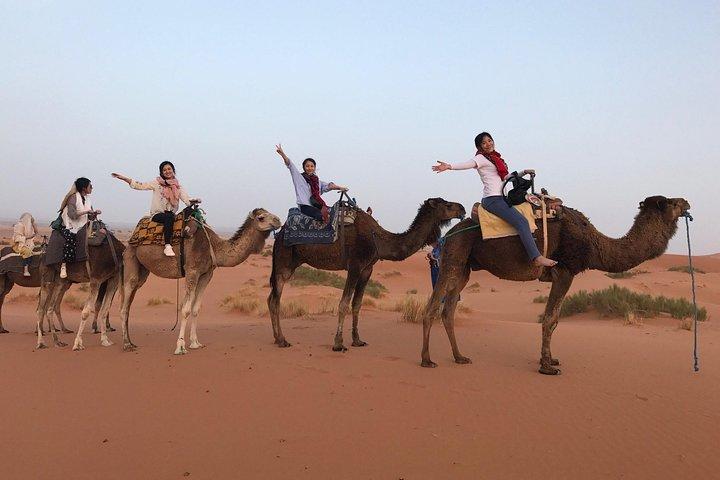 8-day private Morocco tour from Marrakech to imperial cities