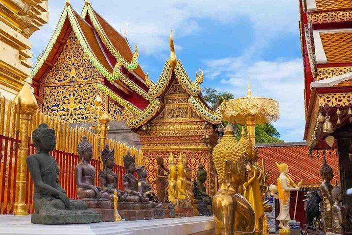 Den bedste Chiang Mai by private tur: Seværdigheder & Viewpoint