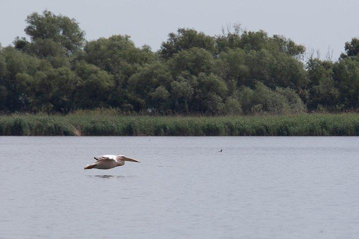 The Black Sea och Donau Delta Tour - 2 dagar