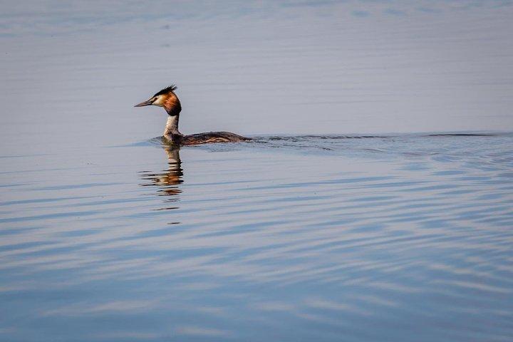 The Black Sea och Donau Delta Tour - 2 dagar