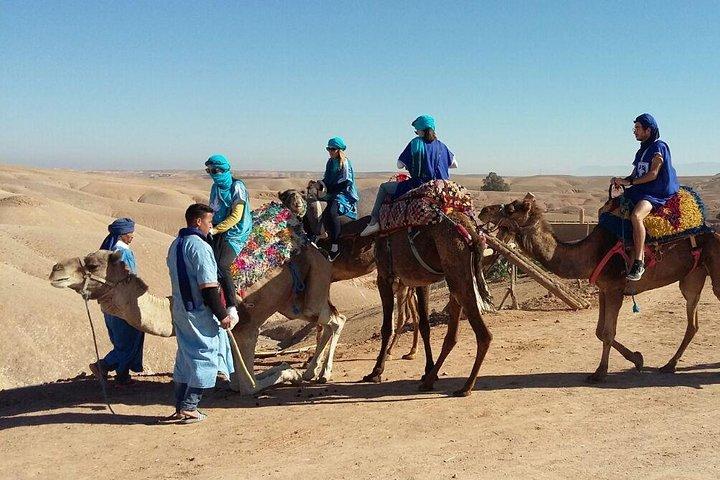 Sunset Camel Ride Quad Tour In Agafay Desert With Dinner
