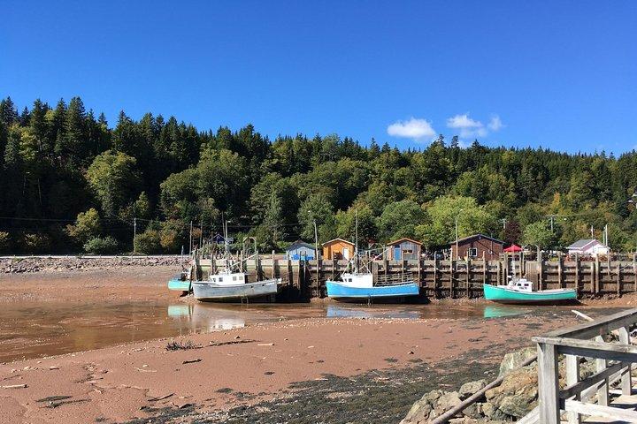Bay of Fundy-Tour mit dem Bus