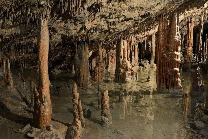Skocjan UNESCO Caves and Piran 1 日ツアー (小グループ、最大 8)