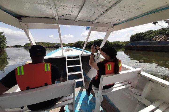 Dolphin Watching i Puerto El Morro fra Guayaquil