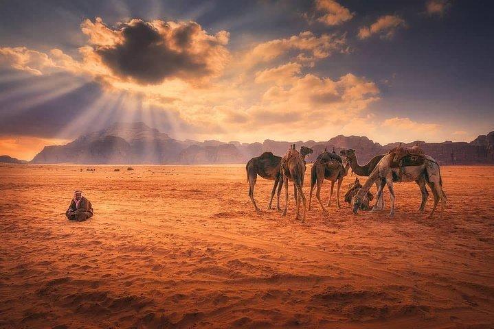 Wadi Rum Experience with Petra for 03 Days - 02 Nights From Eilat Border