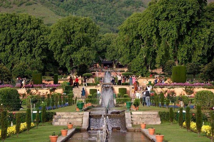 En rolig ferie i Kashmir