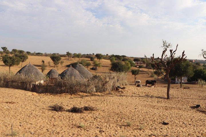 Excursion d'une demi-journée dans le village d'Osian avec un repas