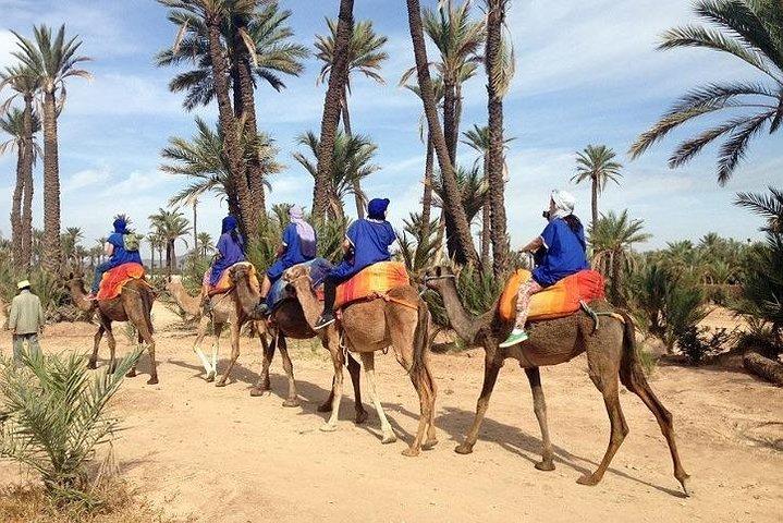 Majorel Marvels: Garden Excursion with Camel Ride in Palmeraie