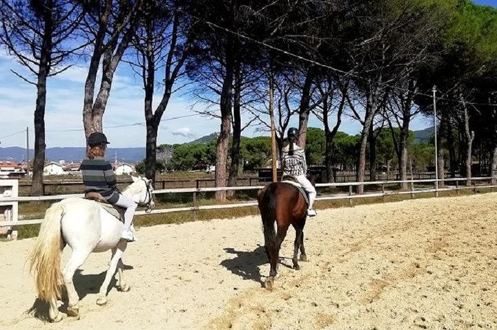 ルッカ近くの乗馬小グループ