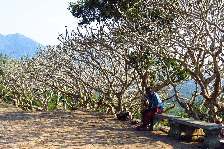 Gita giornaliera privata a Sigiriya e Dambulla da Trincomalee.