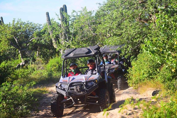 Cabo Migrino Strand- und Wüstentour (Triple UTV)