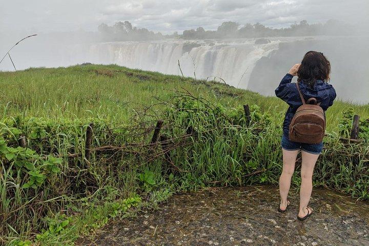 Victoria Falls Dual-Side Tagesausflug von Kasane Simbabwe & Sambia