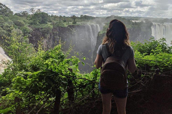 Victoria Falls Dual-Side Tagesausflug von Kasane Simbabwe & Sambia