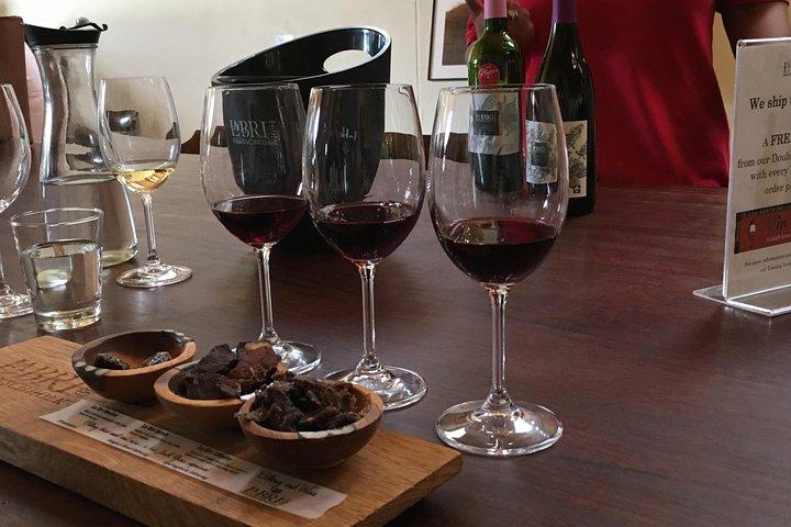 Ciclo di Franschhoek ed esperienza di degustazione 4 ore (condiviso)