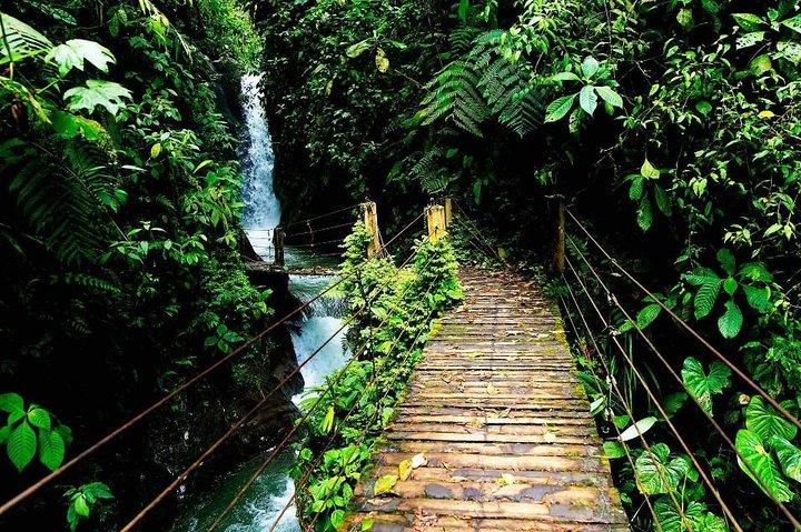 Natuur- en wildexcursie in Mindo vanuit Quito
