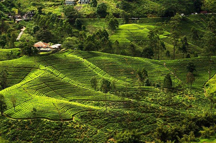 Hotéis com café da manhã em Sri Lanka