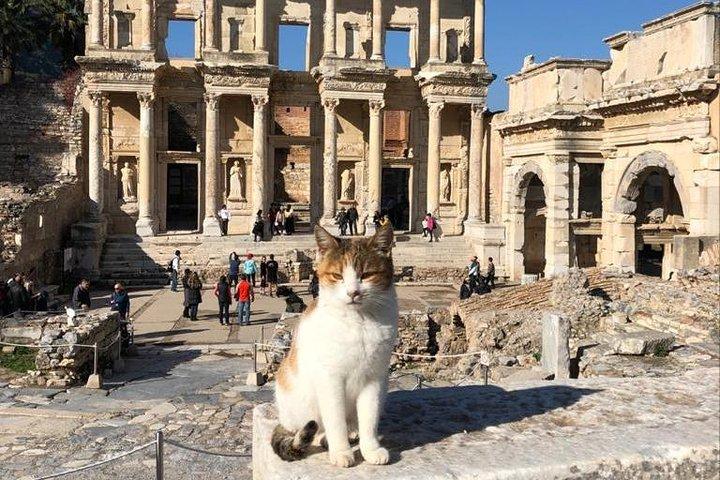Privé Ephesus-tour vanuit de haven van Kusadası