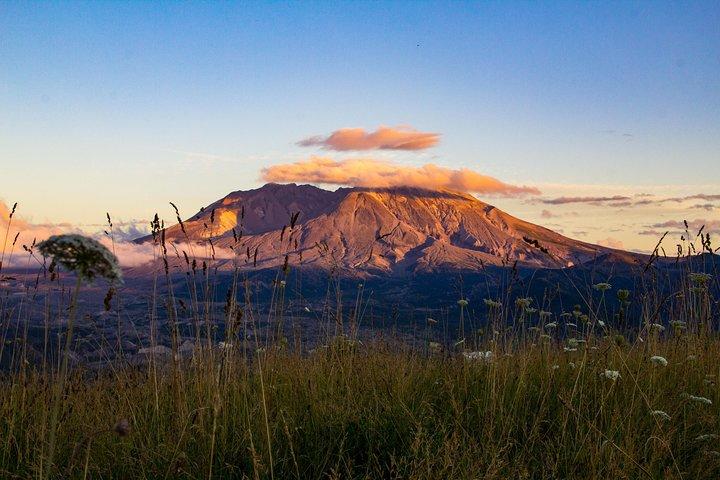 Mount St. Helens från Portland : All-inclusive rundtur i liten grupp