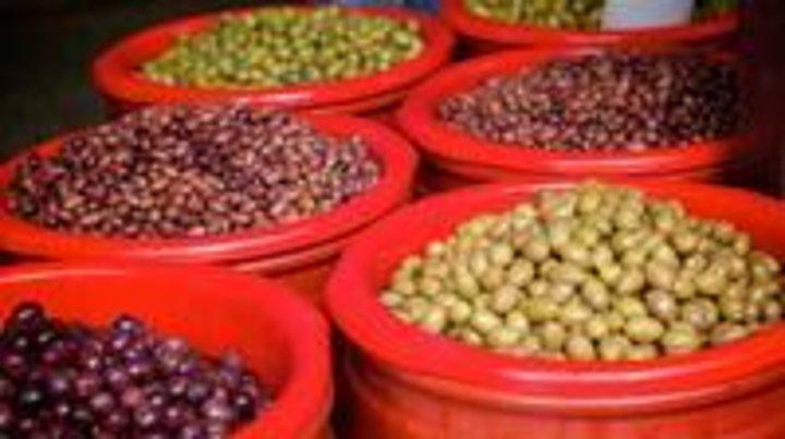 Athen Gourmet Food Small Group Walking Tour