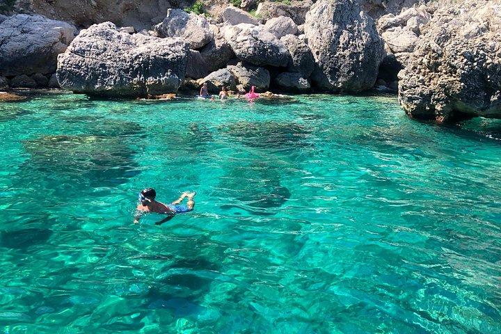 Small-Group Capri and Blue Grotto Boat Tour from Sorrento 5 Hours