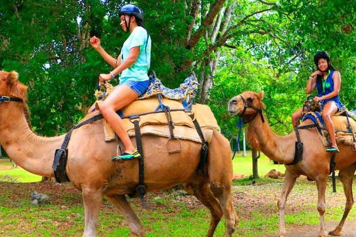 YAAMANアドベンチャーパークオーチョリオスへのプライベート往復送迎