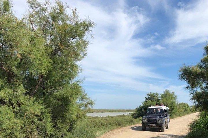 4x4 Camargue Safari 4 timer - Afgang fra Arles