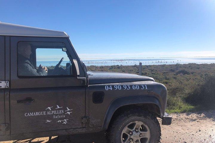 4x4 Camargue Safari 4h - Private Tour - Abfahrt von Arles