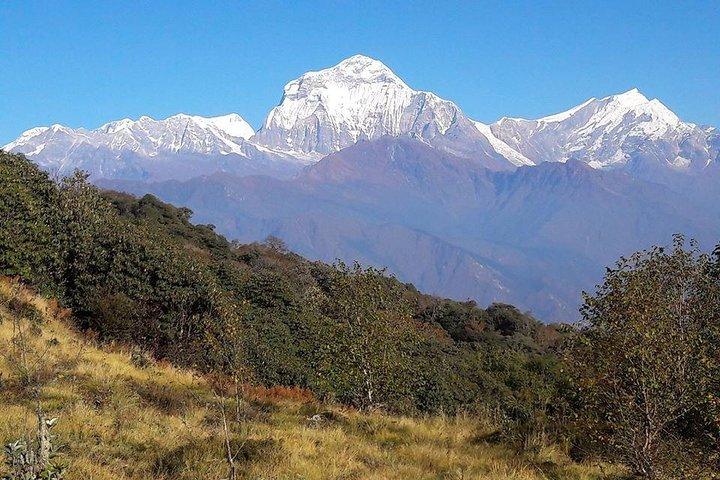 Ghoreapani Poon Hill Trek