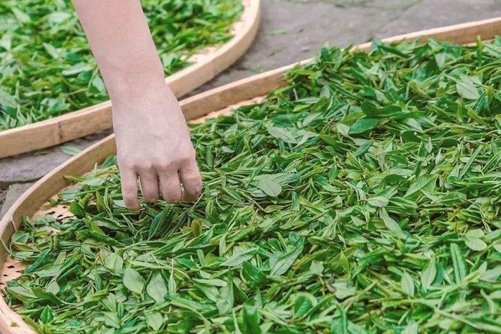 Klassisk Hangzhou Day Tour Plus Tea Plantation Exploration