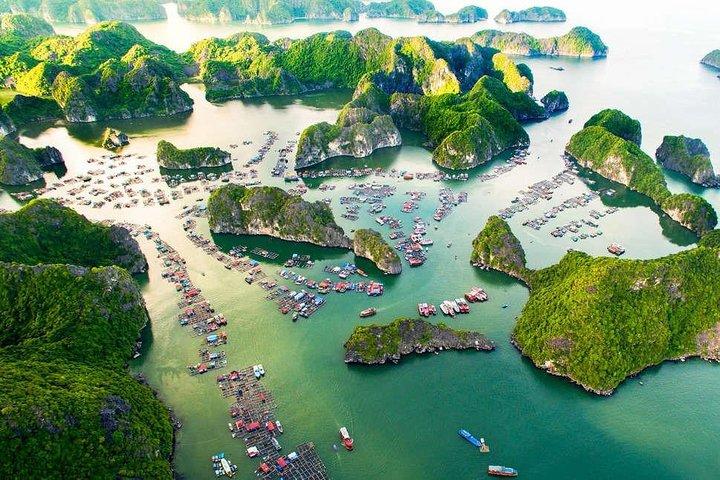 Crucero de 1 día (Ha Long, Bahía de Lan Ha, Isla de Cat Ba)