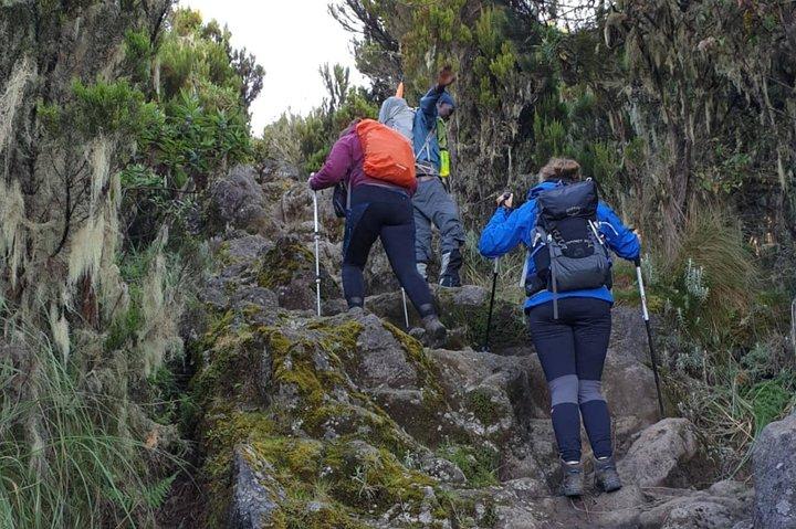 Mount Kilimanjaro Trek 7-Days: Lemosho Route