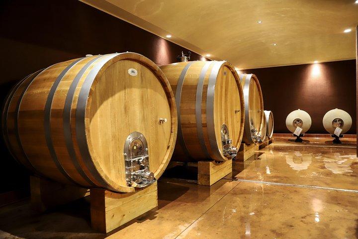 Lake Garda: Wine Tour & Tasting Experience in Bardolino area