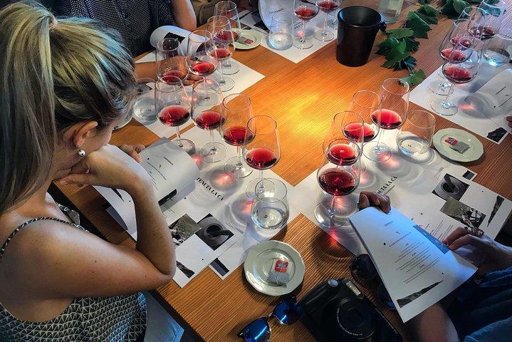 Lake Garda: Wine Tour & Tasting Experience in Bardolino area