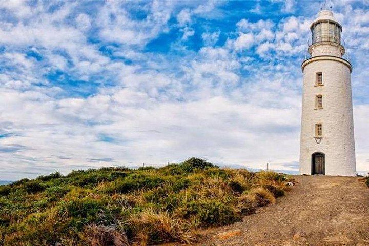 Dagtour Bruny Island Privécharterservice (3 dagen van tevoren)
