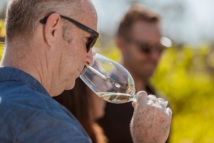 Private Tour : Premium Swan Valley Weintour ab Perth