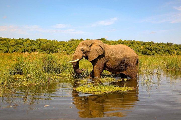 Murchison Falls Natursafari