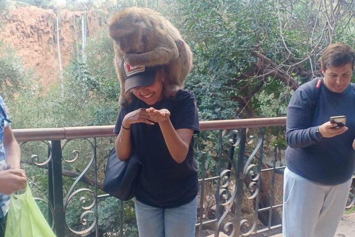 From marrakech :Ouzoud waterfalls ;local guide. Cruise boat