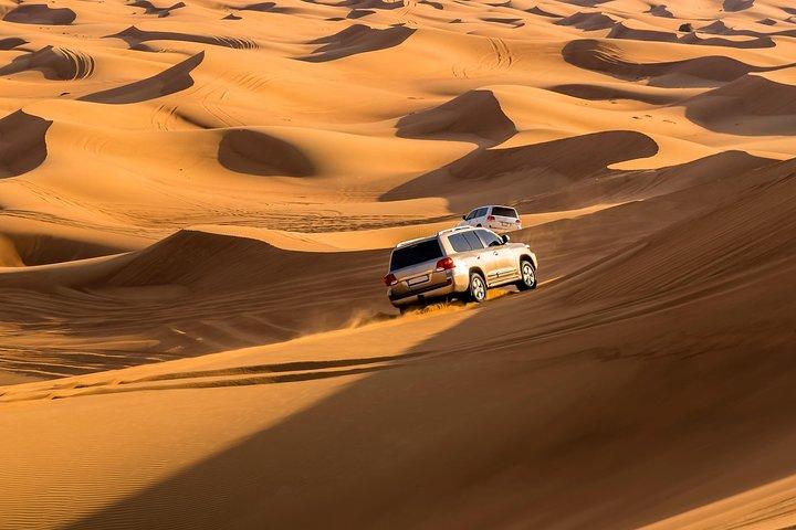 Safari por el desierto