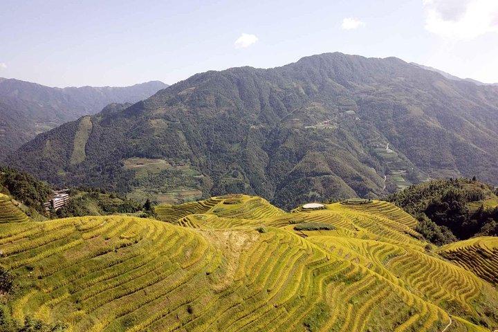 Visita Longji Rice Terraces e Minority Village a Guilin