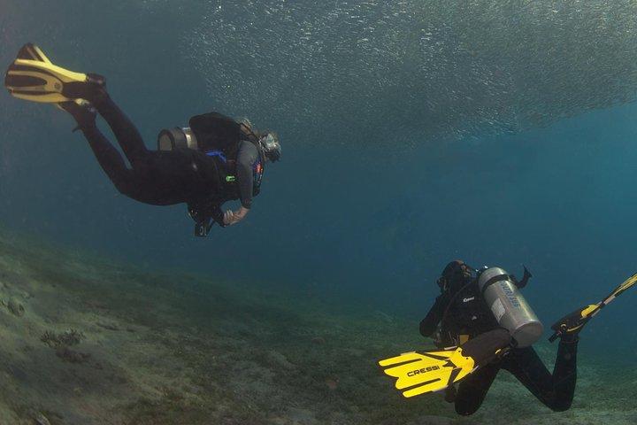 4.5 Hour Snorkeling, Diving With Private Beach Access & Lunch
