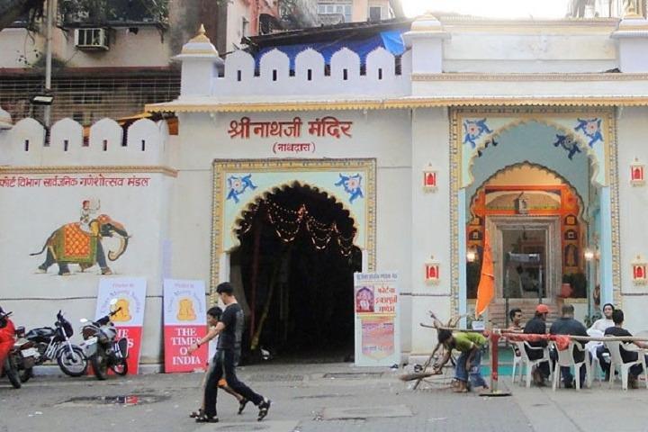 Excursion d'une journée à Ekling ji et Nagda (temple Sahasrabahu)