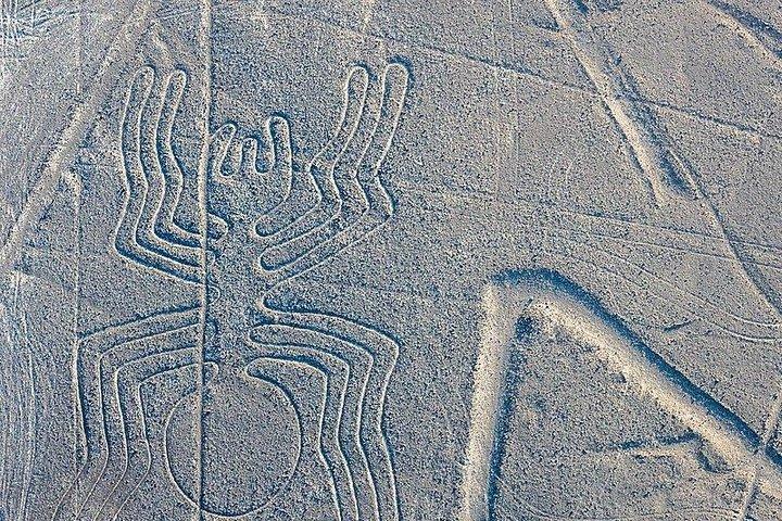 Heldagstur til The Huacachina Oasis og Nazca Lines overflight