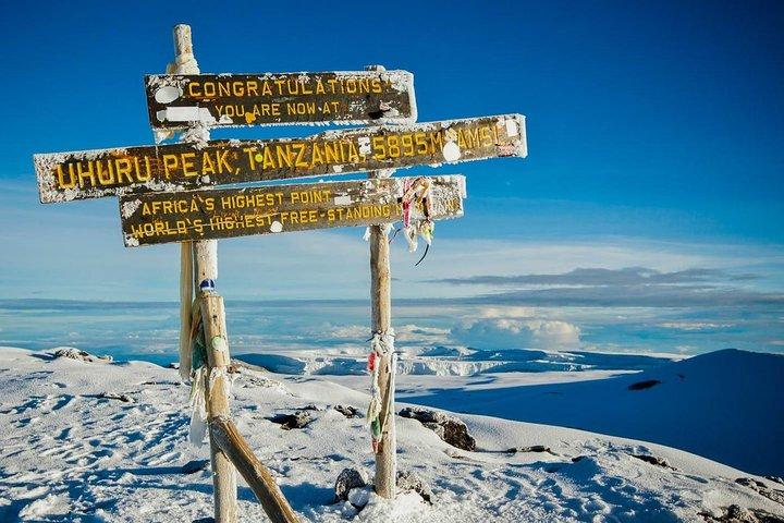Mt. Kilimanjaro Trekking; Northern Circuit Route - 9 dage