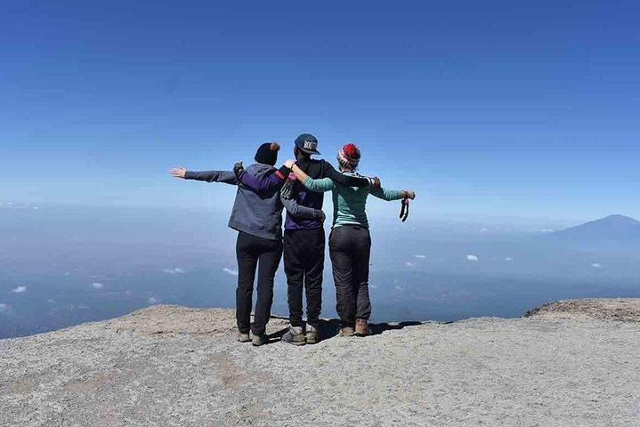 Mt. Kilimanjaro Trekking; Northern Circuit Route - 9 dage