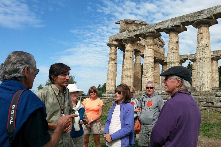 Tour Privado : Explora Paestum con un Arqueólogo Experto