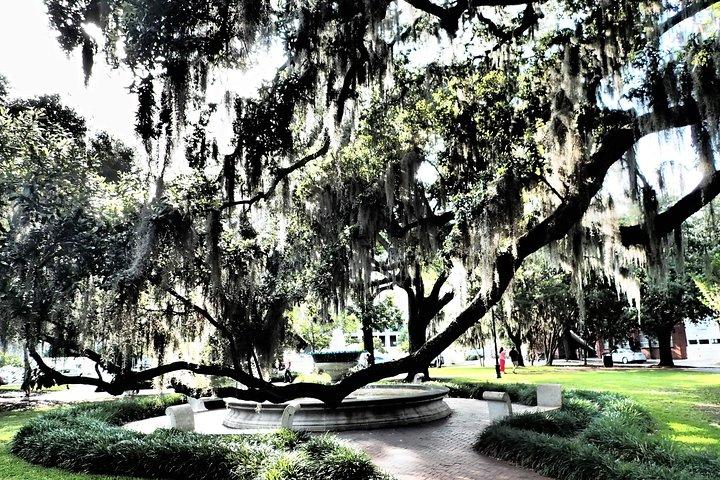 Savannah Scavenger Hunt Adventure