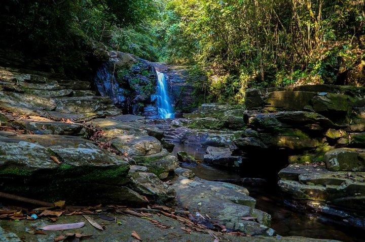 Tour naturalistico e trekking del Parco Nazionale Bach Ma