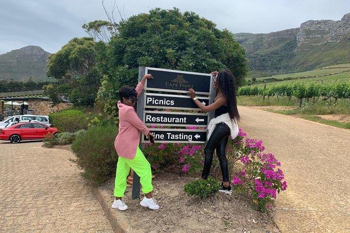 Privat: Cape Point og Wine Lands Heldagstur.