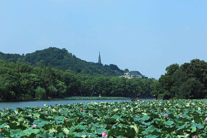 Excursão privada de um dia a Hangzhou: Meijiawu Tea Village e West Lake From Shanghai