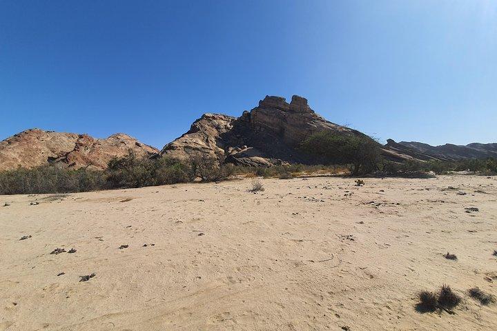 Månelandskab inklusive Welwitchia Plains